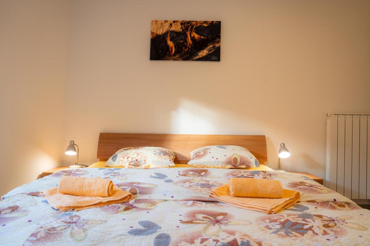 Relax House Soca Konuk evi Bovec Dış mekan fotoğraf
